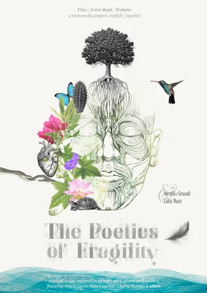 Постер: The Poetics of Fragility