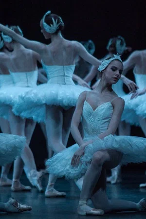 Постер: Swan Lake - The Australian Ballet