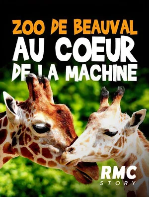 Постер: Zoo de Beauval : Au cœur de la machine