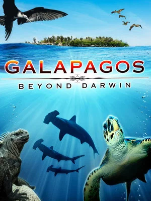 Постер: Galapagos: Beyond Darwin