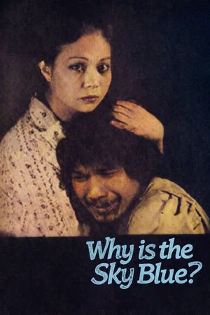 Постер: Why Is the Sky Blue?