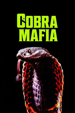 Постер: Cobra Mafia