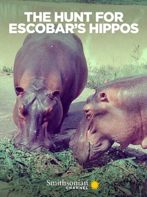 Постер: The Hunt for Escobar's Hippos
