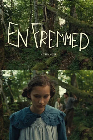 Постер: A Stranger