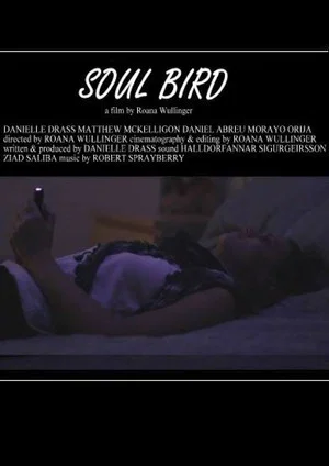 Постер: Soul Bird