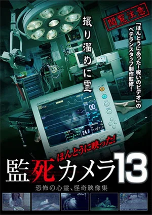 Постер: Paranormal Surveillance Camera 13