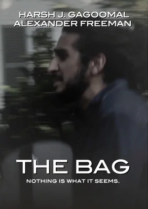 Постер: The Bag