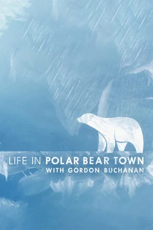 Постер: Life in Polar Bear Town with Gordon Buchanan