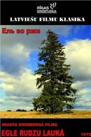 Постер: Ель во ржи