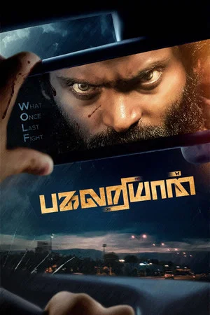Постер: Pagalariyaan