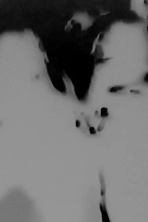 Постер: Witches Walk Monochrome