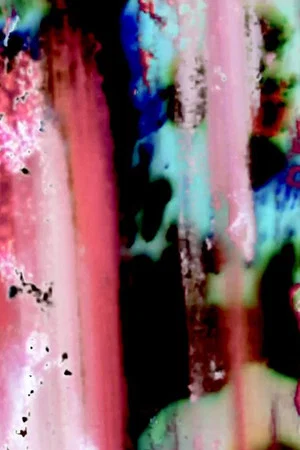 Постер: Kitchen Sink Film