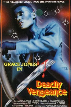 Постер: Deadly Vengeance