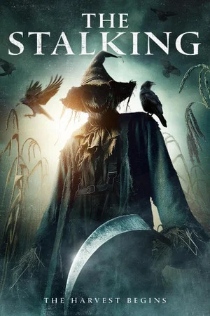 Постер: The Stalking
