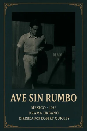 Постер: Ave sin rumbo