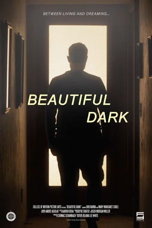 Постер: Beautiful Dark