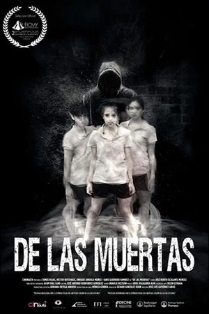 Постер: About the Deaths