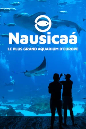 Постер: Nausicaa: The Largest Aquarium in Europe