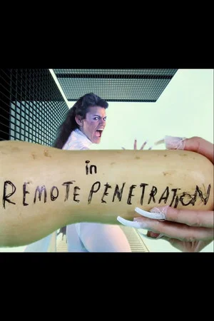Постер: Remote Penetration / Stain of History