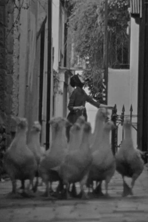 Постер: The Gooseherd