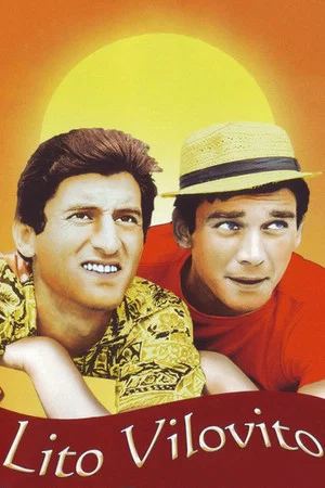 Постер: Mad Summer