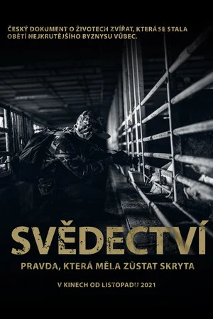 Постер: Svědectví: Pravda, která měla zůstat skryta