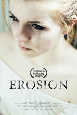 Постер: Erosion