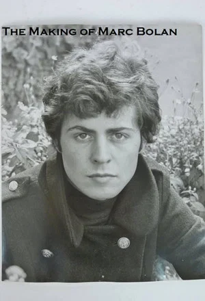 Постер: The Making of Marc Bolan