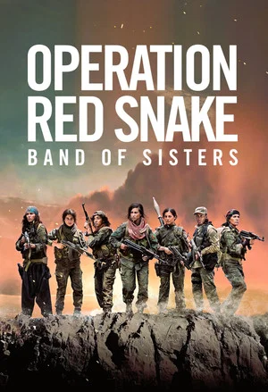 Постер: Sisters in Arms