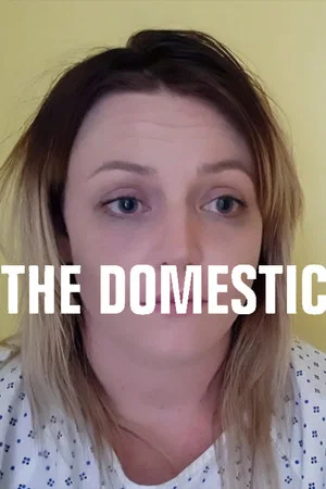 Постер: The Domestic