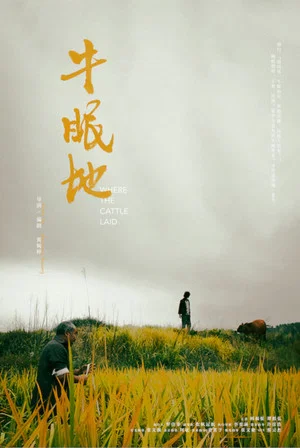 Постер: Where the Cattle Laid