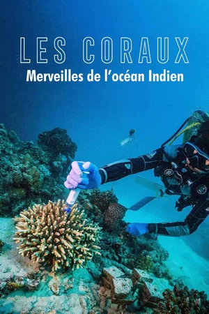 Постер: Zauber der Korallenriffe: Der Indische Ozean