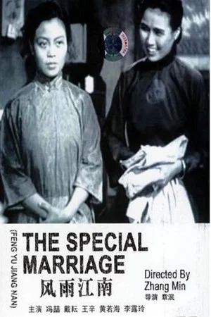 Постер: The Special Marriage
