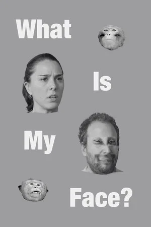 Постер: What Is My Face?