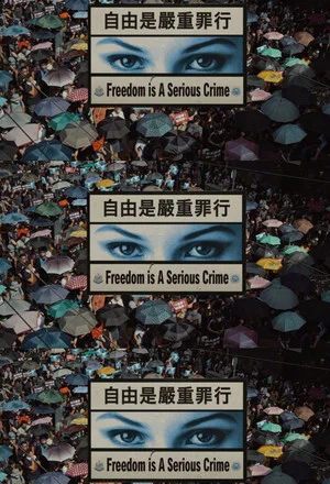 Постер: Freedom Is A Serious Crime