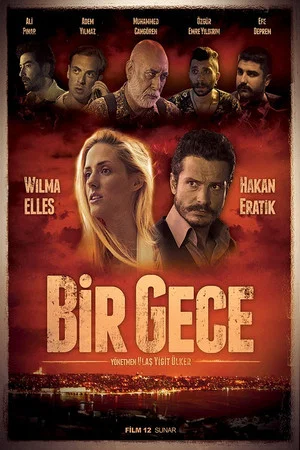 Постер: Bir Gece