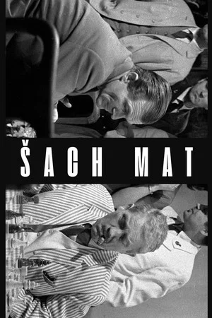 Постер: Šach mat