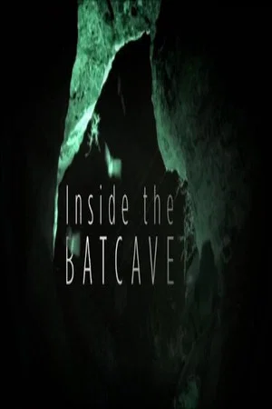 Постер: Inside the Bat Cave
