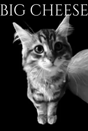 Постер: The Fluffster: Part 6: Big Cheese