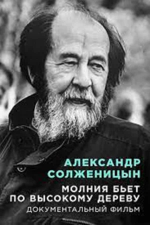 Постер: Молния бьет по высокому дереву