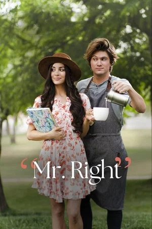 Постер: Mr. Right