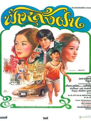 Постер: ฟ้าหลังฝน