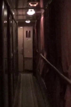 Постер: Train