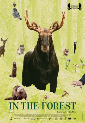 Постер: In the Forest