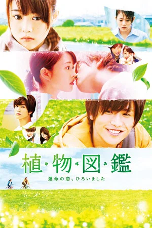 Постер: Evergreen Love