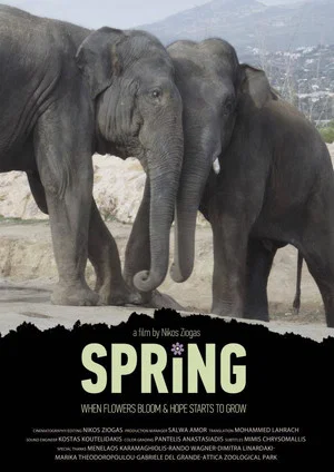 Постер: Spring