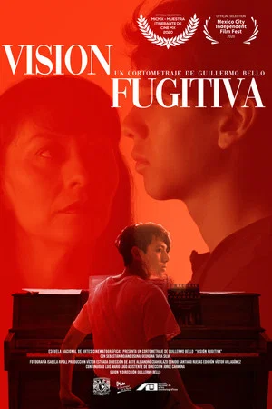 Постер: Fugitive Vision