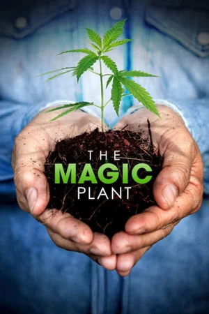 Постер: The Magic Plant