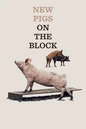 Постер: New Pigs on the Block