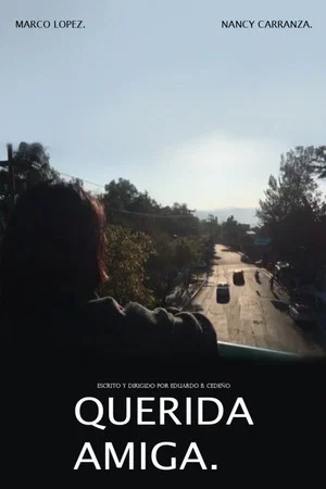 Постер: Querida Amiga.